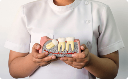 Woman holding dental figure explanation